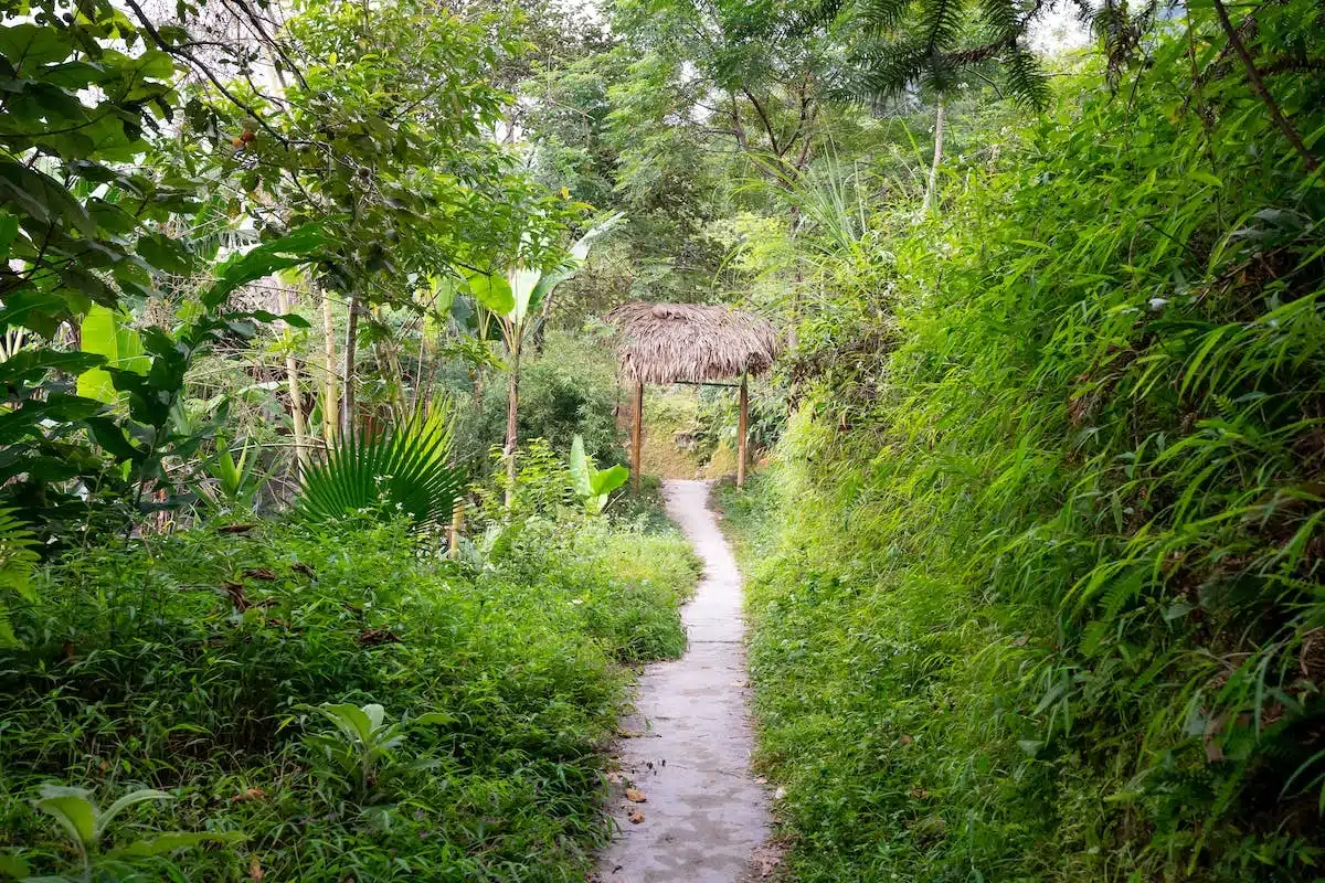 jardin naturel