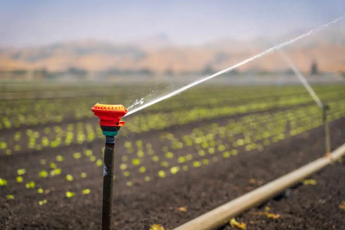 système irrigation