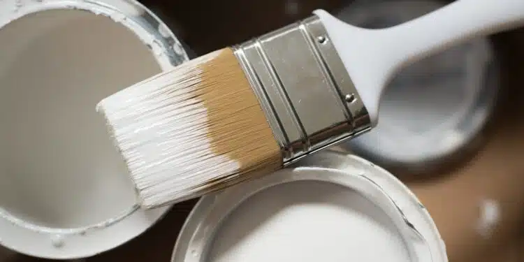 Découvrez les secrets d'une belle finition avec vos brosses à peinture !