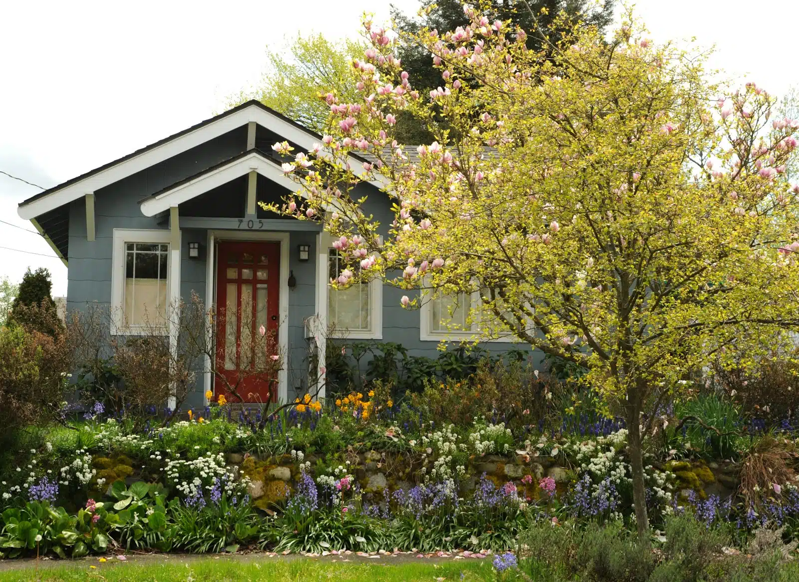 une maison avec jardin